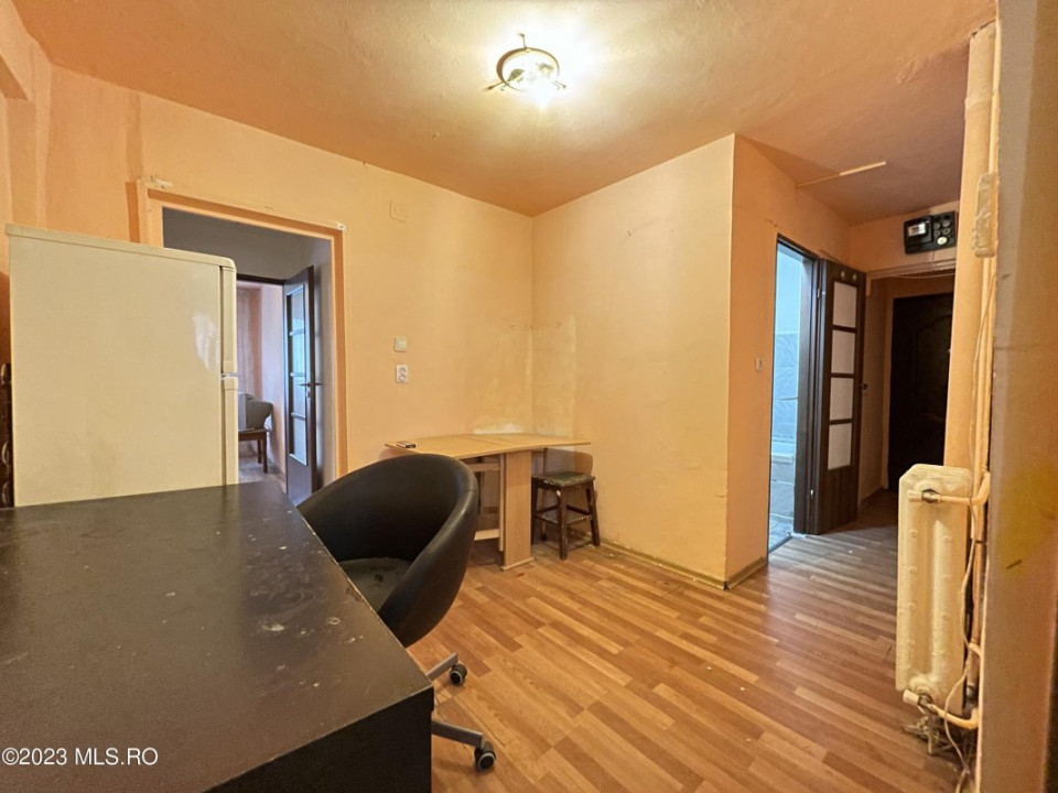 Apartament 2 camere Lacul Tei
