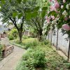 CASA SALAJ - PARCUL HUMULESTI