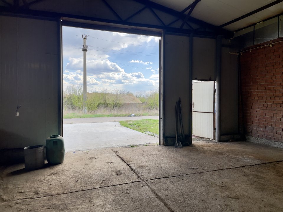 Hala depozitare - Balotesti - Căciulați - cu intrare rapida în A3