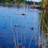 Super ocazie! Vilă de vânzare în Snagov, cu deschidere la lac