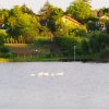 SUPER OCAZIE SE VINDE VILA DE LUX SI CASA DE OASPESTI IN BALOTESTI LA LAC