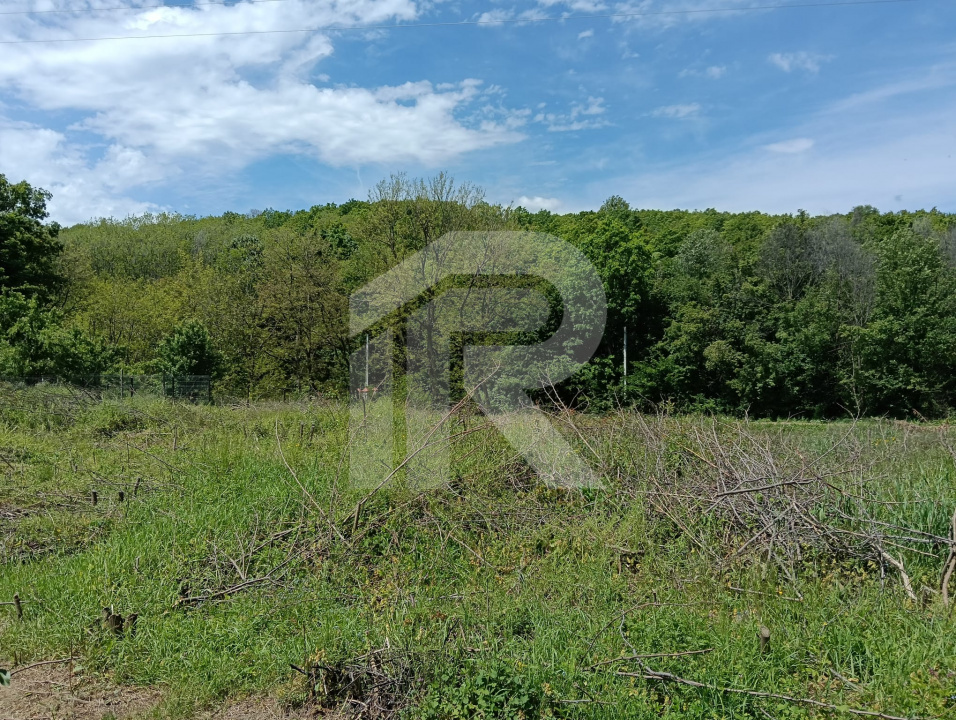 intravilan Tiparesti, relaxare aproape de padure