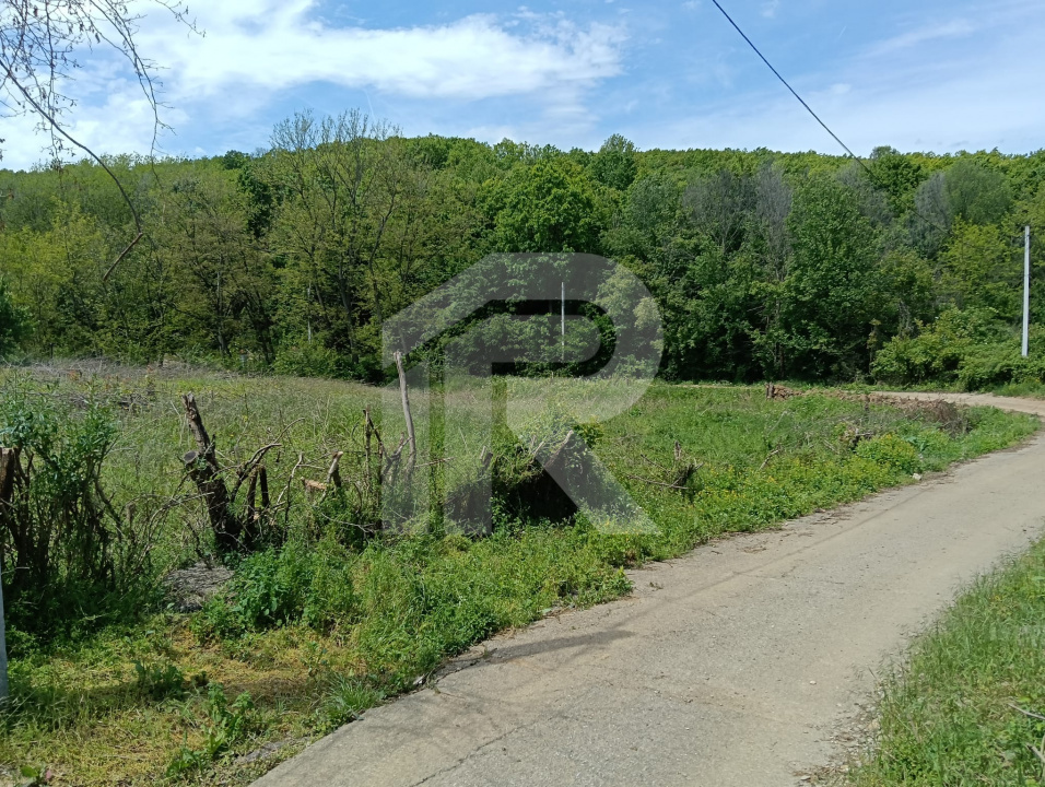 intravilan Tiparesti, relaxare aproape de padure