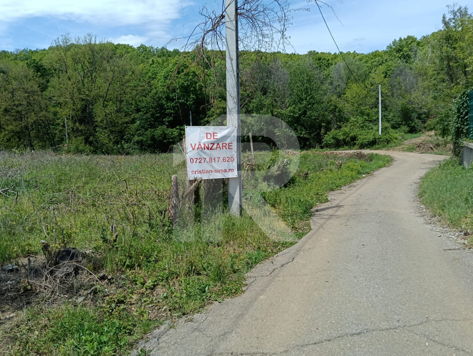 intravilan Tiparesti, relaxare aproape de padure