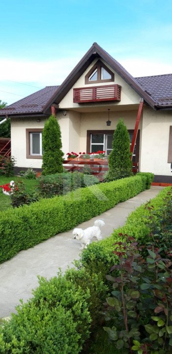 CASA 123 MP, LOT 336 MP, Vidra-DOBRENI 