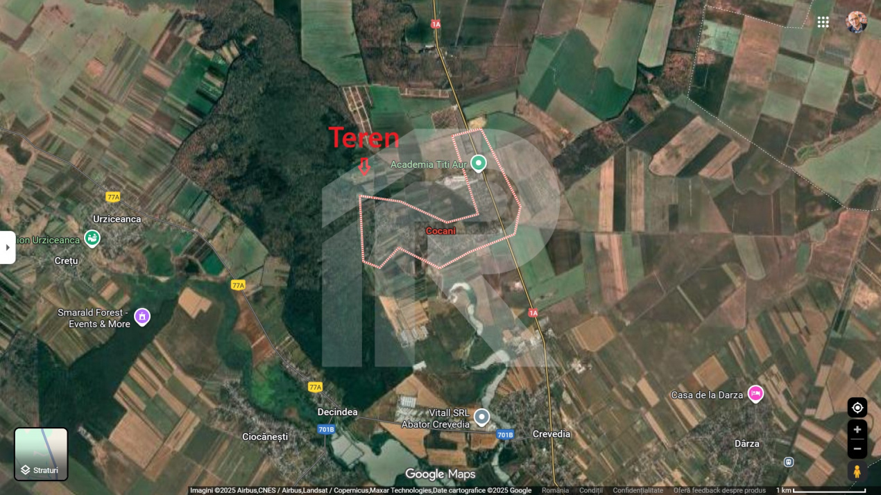 Refugiu la marginea padurii — 2822 mp de liniste in Cocani.