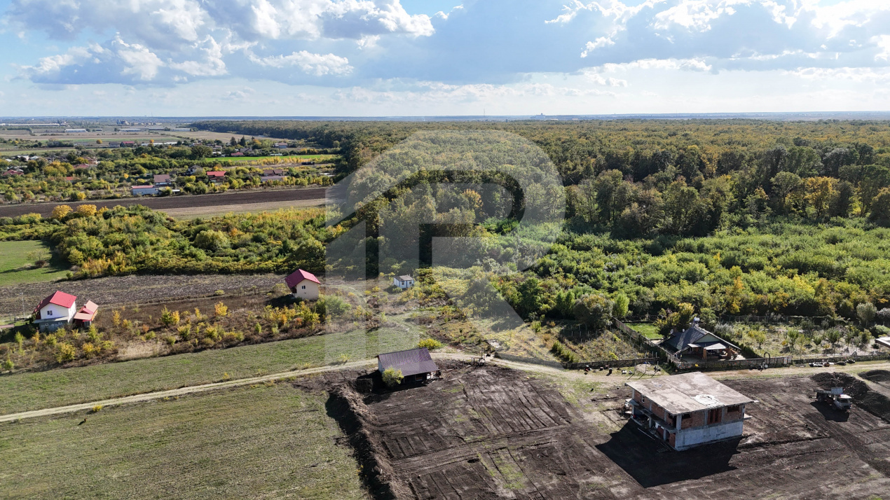 Refugiu la marginea padurii — 2822 mp de liniste in Cocani.