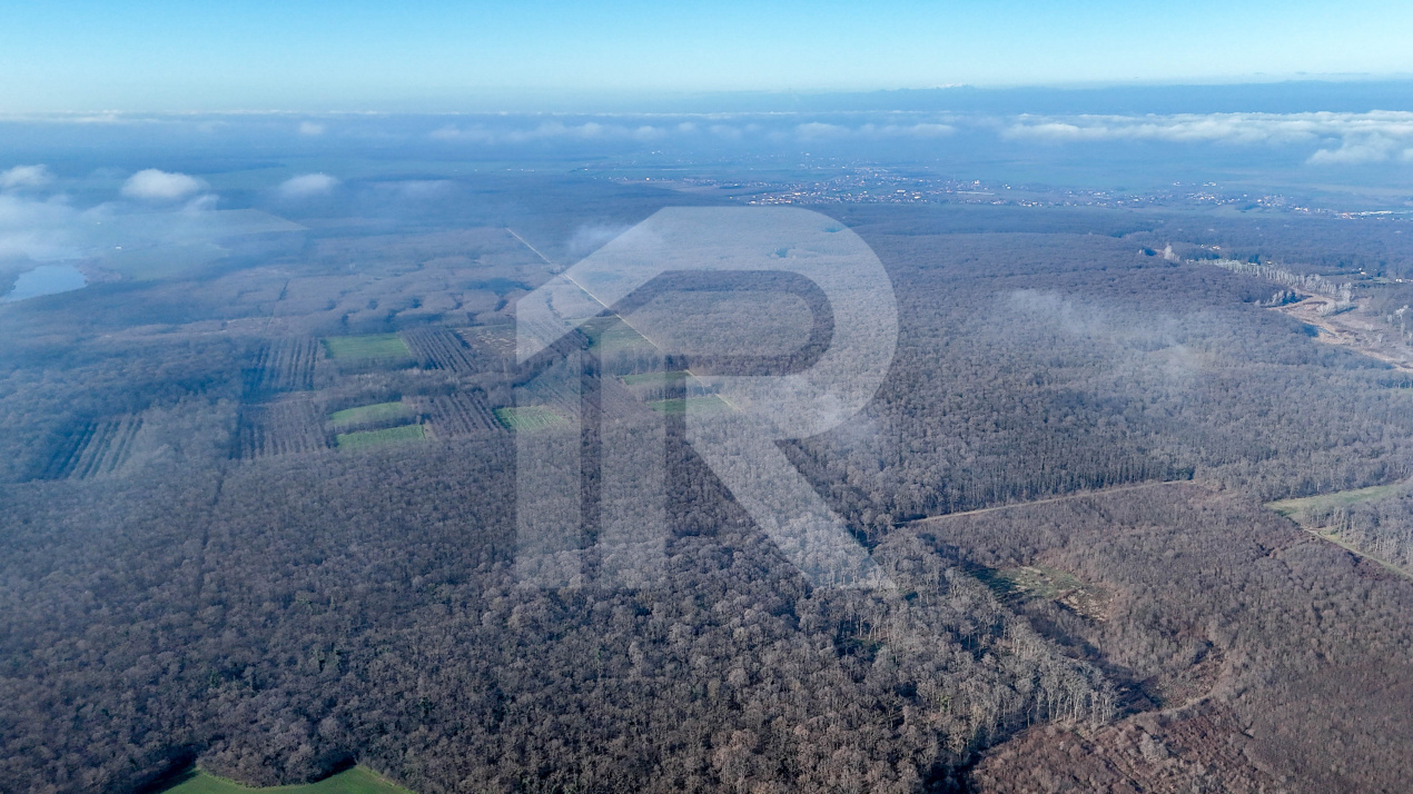 Teren langa Manastirea Sfantul Nicolae Sitaru