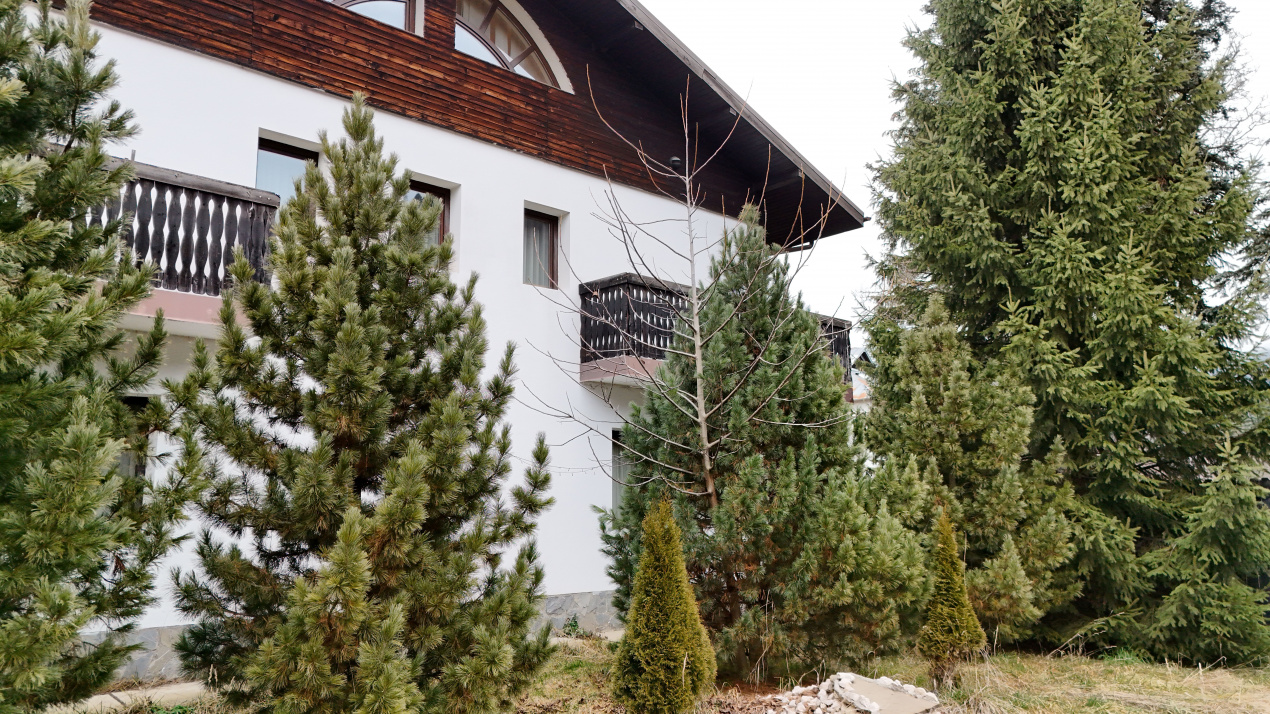 Pensiune de lux In Busteni